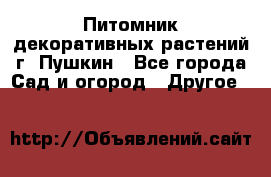 Питомник декоративных растений г. Пушкин - Все города Сад и огород » Другое   